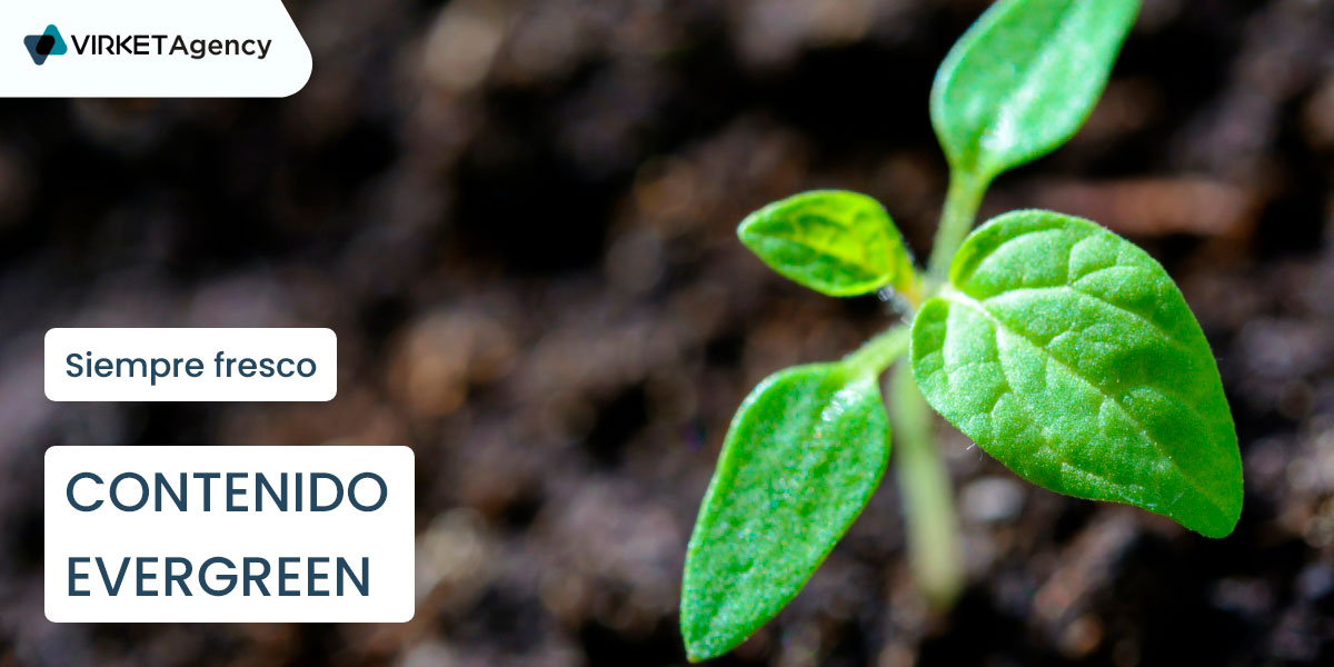 Siempre verde, siempre fresco: ¡contenido Evergreen!
