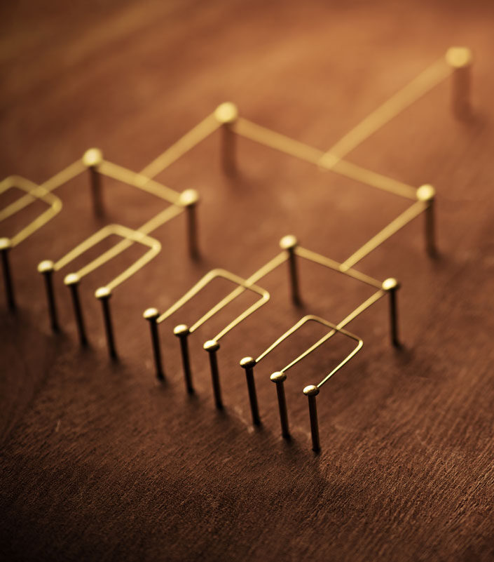 La importancia de la arquitectura de contenidos SEO